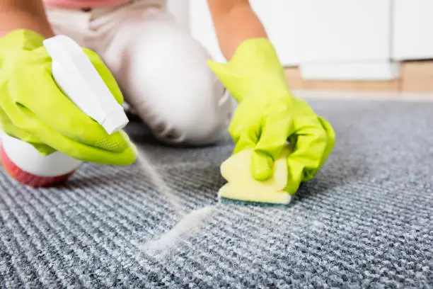 Carpet Cleaning Tips in Lake Placid, FL