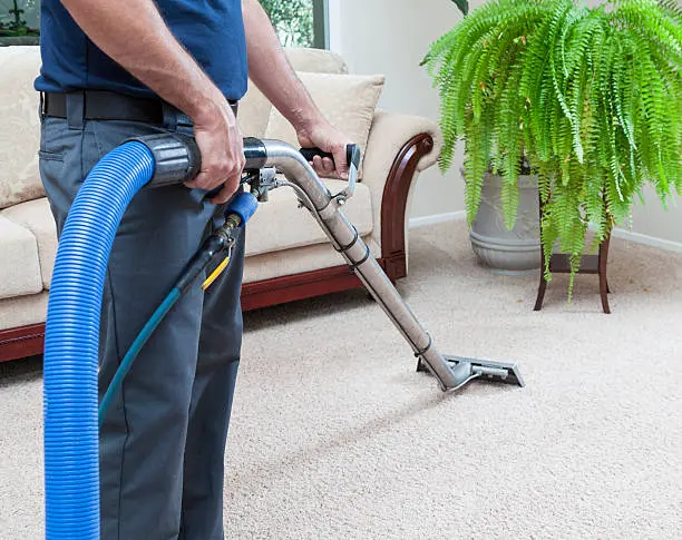 How Long Does it Take Carpets to Dry After Cleaning in Lake Placid, FL